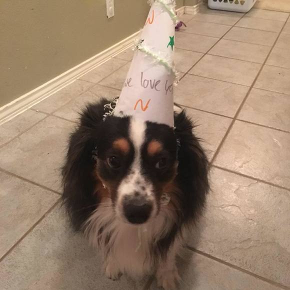 Meet your Posher, Shelli - Picture 1 of 1